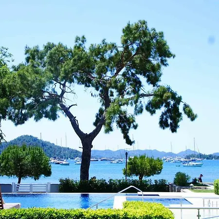Daire Safir Villas *