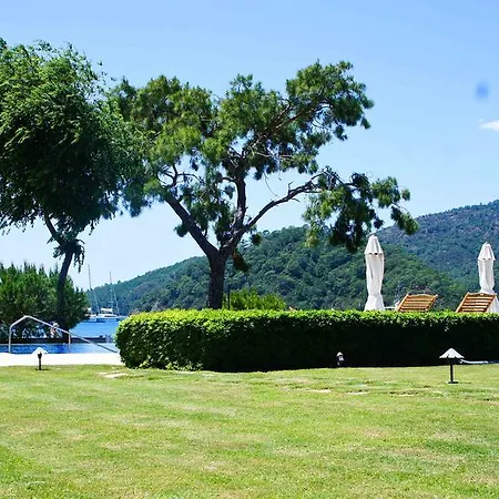 Daire Safir Villas
